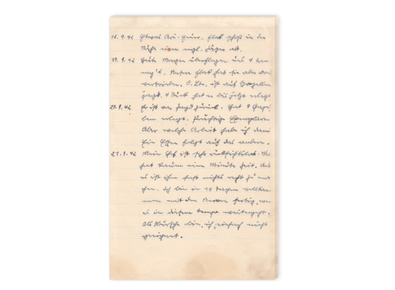 Ihr drittes Dokument: Auszug aus dem während des Afrika-Feldzugs geführten Tagebuch des 22-jährigen deutschen Soldaten Albert Stuppy.